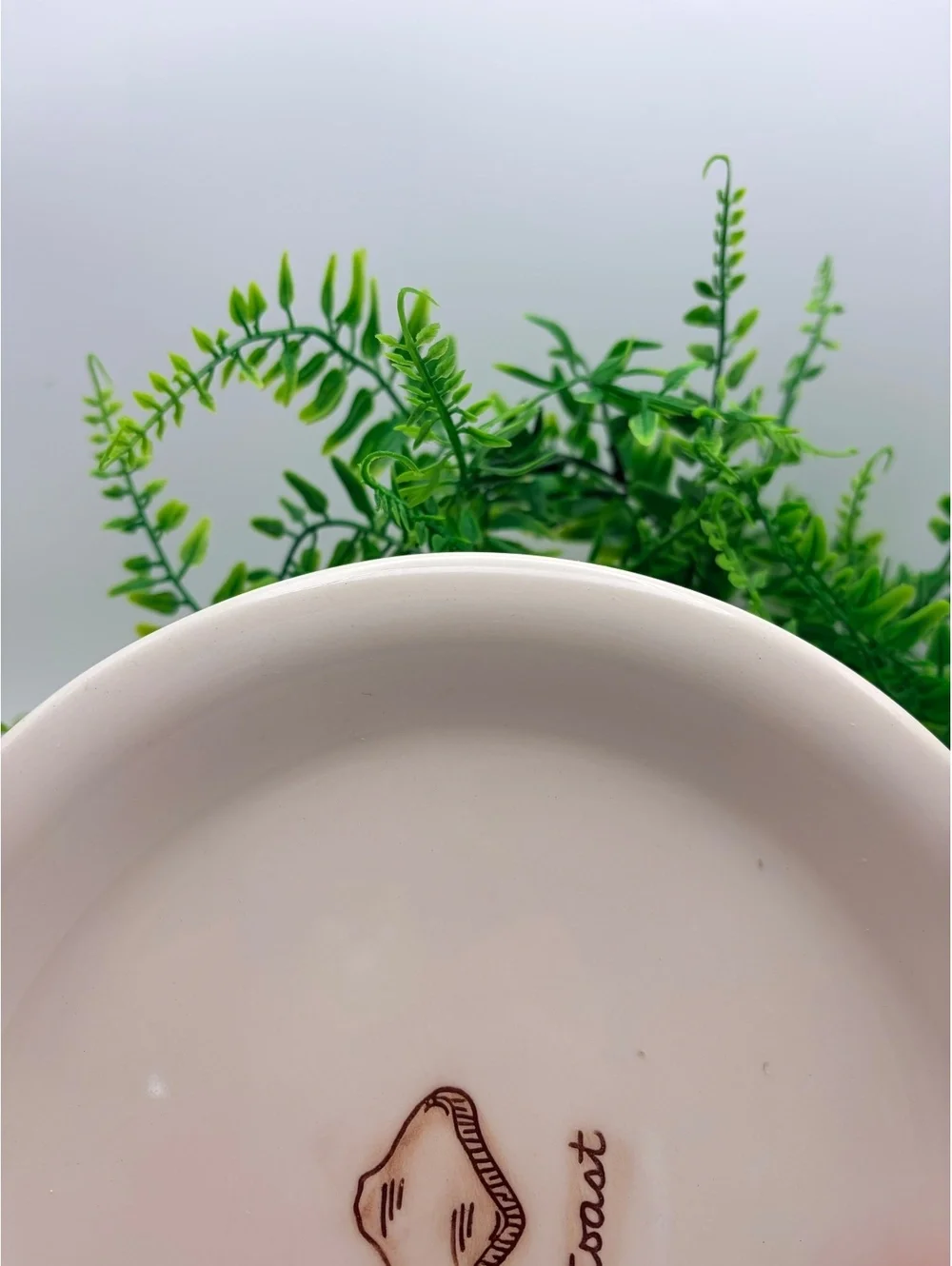 Williams Sonoma breakfast plate. No damage.